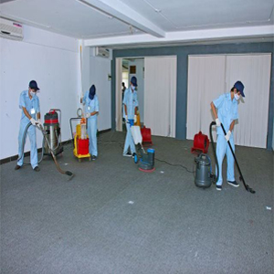 Dọn Dẹp Chuyên Nghiệp